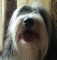 Smile...............
